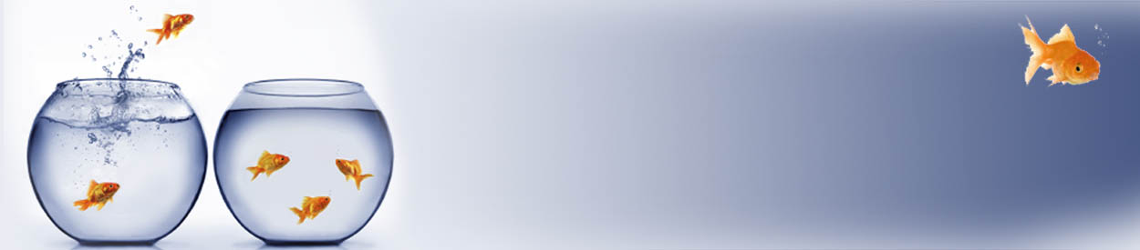 Lemonade Stand March 10th!